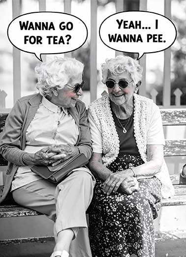 Communication Great Friend Funny  Card  Send someone a personalized greeting card just in time for their birthday! Communication Great Friend old ladies old friends getting older funny hearing saying  Communication The Key To Every Great Friendship